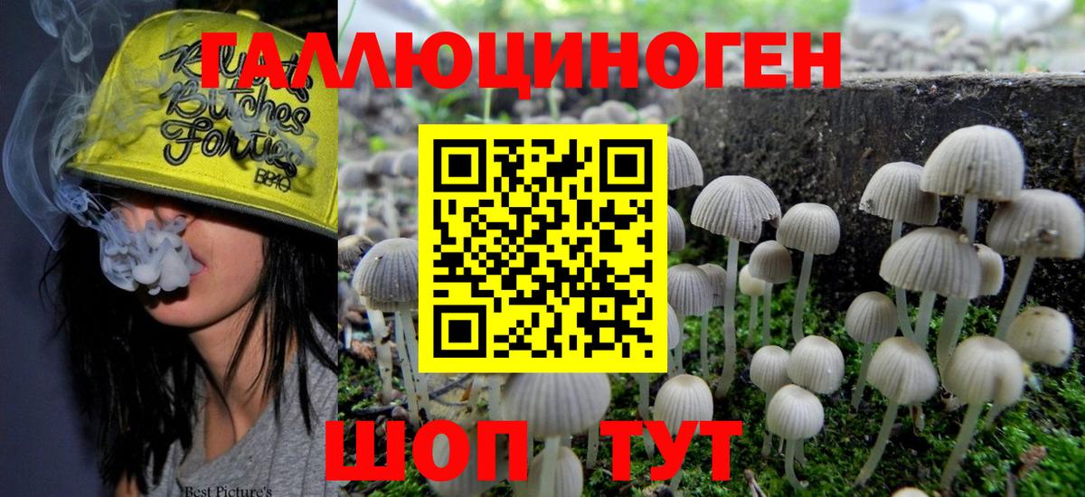 Алейск  Псилоцибиновые грибы MAGIC MUSHROOMS  как найти закладки  Вход с VPN  Псилоцибиновые грибы мухоморы 