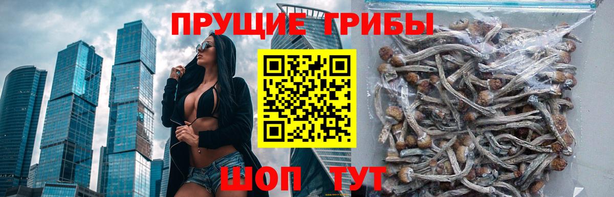 Галлюциногенные грибы Magic Shrooms Алейск